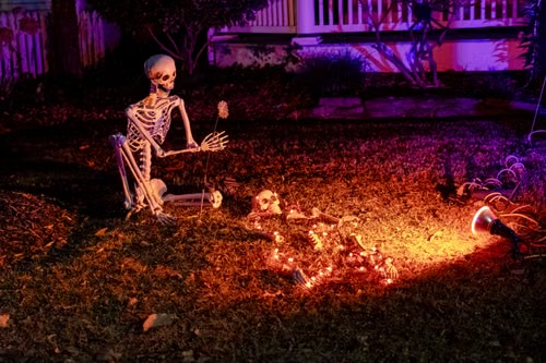 Halloween-lawn-lighting A front yard with ambient lighting and Halloween decor.